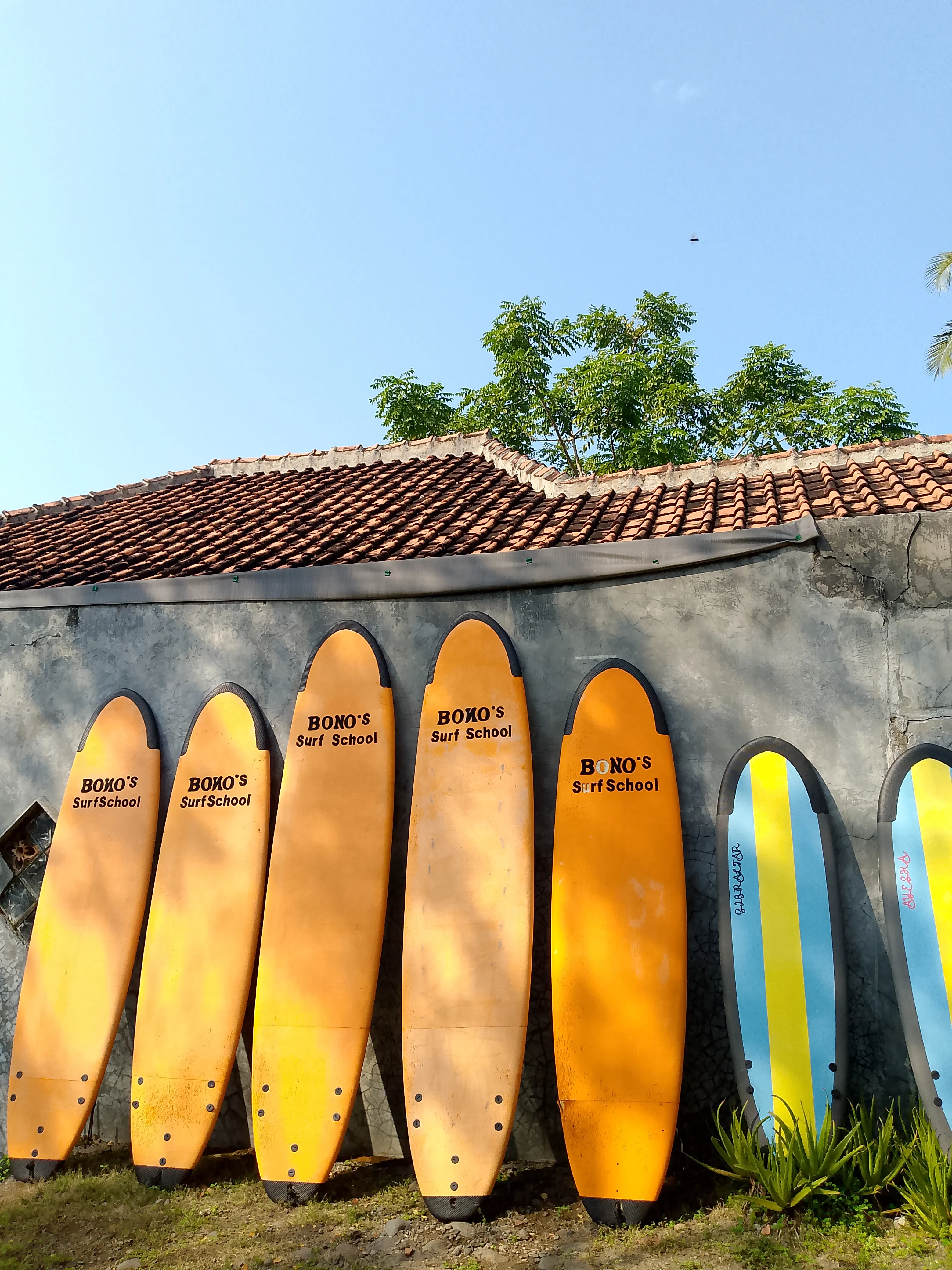 Ozi Ocean Surf Trip Service